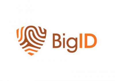 Big ID